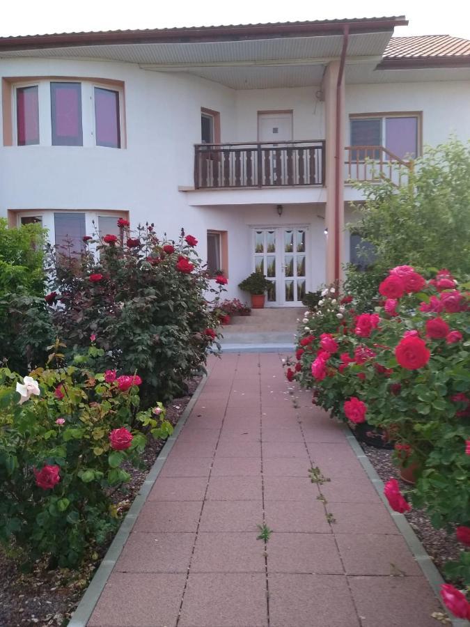 Casa Doina 23 August Exterior foto